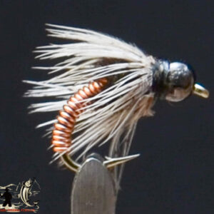 FlyCF1131_511