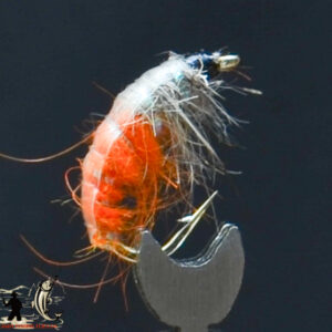 FlyCF1131_512
