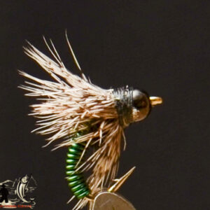 FlyCF1131_513