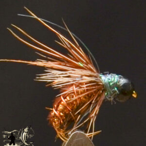 FlyCF1131_515