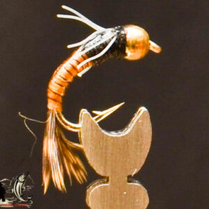 FlyCF1131_517