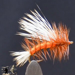 FlyCF1131_518