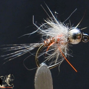 FlyCF1131_523