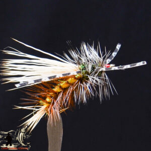 FlyCF1131_526