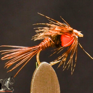 FlyCF1131_529