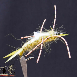 FlyCF1131_545