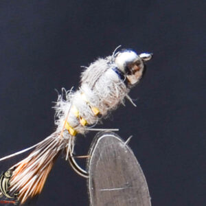 FlyCF1131_546