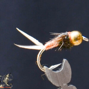 FlyCF1131_549
