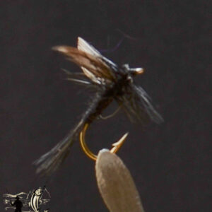 Black Gnat
