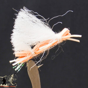 FlyCF1131_553