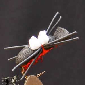 FlyCF1131_554