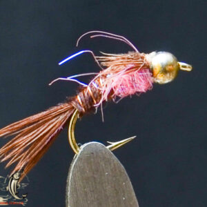 FlyCF1131_558