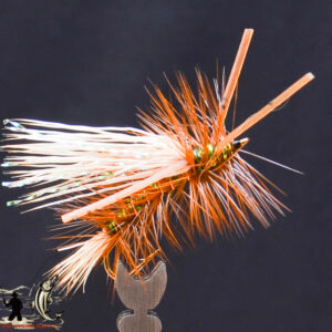 FlyCF1131_559