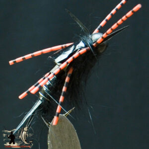 FlyCF1131_564