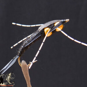 FlyCF1131_566
