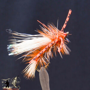 FlyCF1131_568