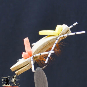 FlyCF1131_569