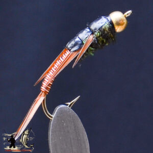FlyCF1131_570