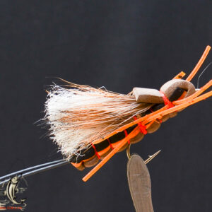 FlyCF1131_572