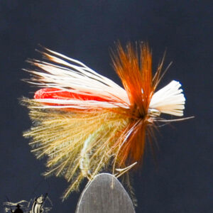 FlyCF1131_573