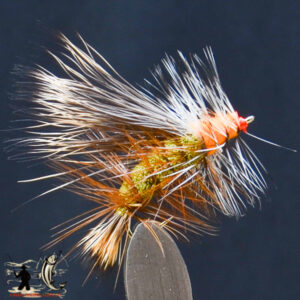 FlyCF1131_583