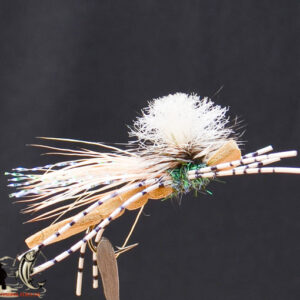 FlyCF1131_584