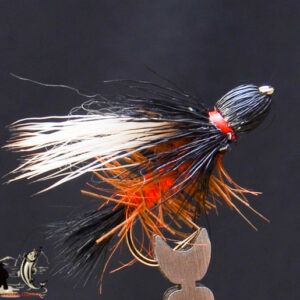 FlyCF1131_586