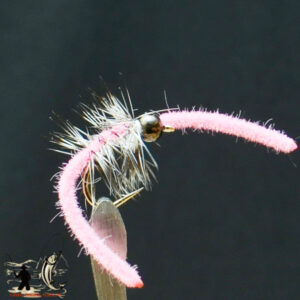 FlyCF1131_588