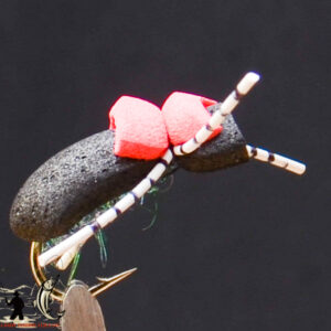 FlyCF1131_590