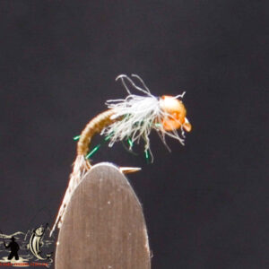 FlyCF1131_592