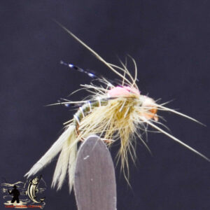 FlyCF1131_593