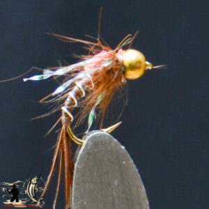 FlyCF1131_594