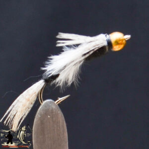 FlyCF1131_595