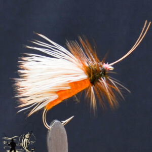 FlyCF1131_596