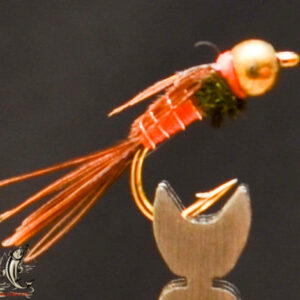 FlyCF1131_597