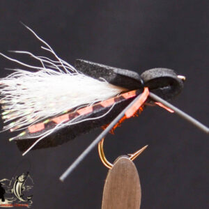 FlyCF1131_598