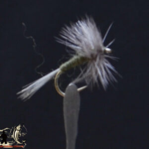 Blue Wing Olive
