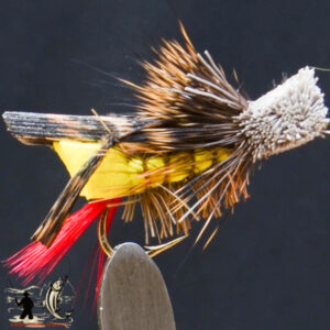 FlyCF1131_600