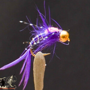 FlyCF1131_601