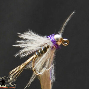 FlyCF1131_602