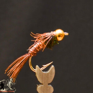 FlyCF1131_603