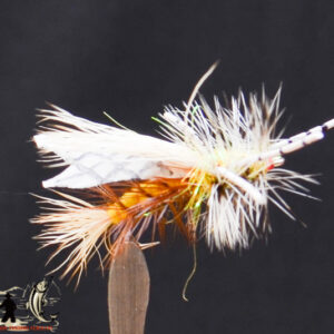 FlyCF1131_604