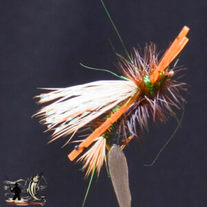FlyCF1131_605