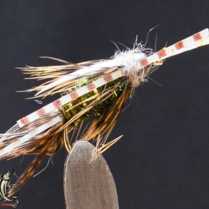 FlyCF1131_607