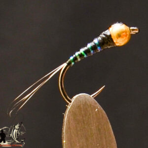 FlyCF1131_608
