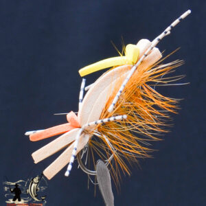 FlyCF1131_609