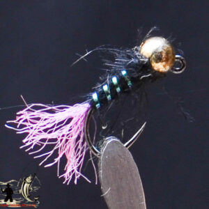 FlyCF1131_610