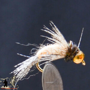FlyCF1131_611