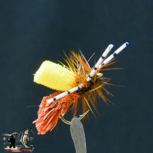 FlyCF1131_612
