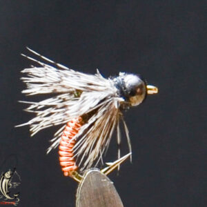 FlyCF1131_613